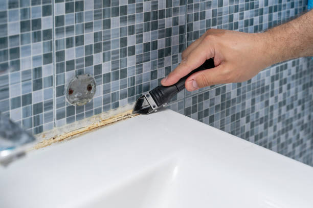 Best Commercial Mold Removal  in Lakewood, NY
